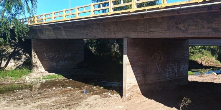 Despejaron el cauce del río Chorrillo debajo del puente de la avenida Santos Ortiz