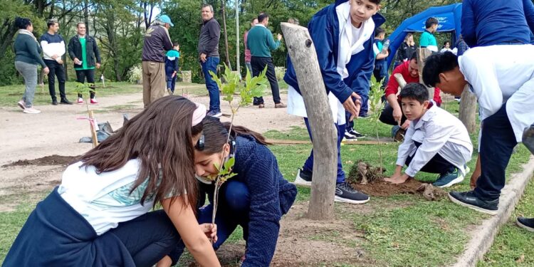 Forestaron un espacio verde recuperado en el barrio Dupuy