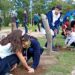 Forestaron un espacio verde recuperado en el barrio Dupuy