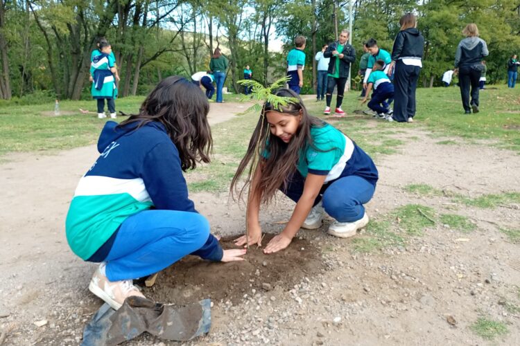 Forestaron un espacio verde recuperado en el barrio Dupuy