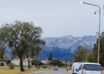 Se vino la ola polar, y la nieve