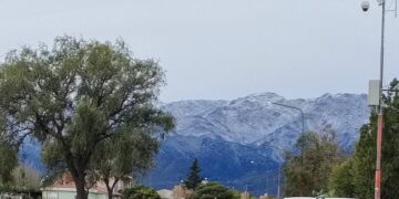 Se vino la ola polar, y la nieve