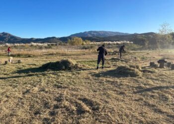 San Luis Agua lleva adelante tareas de limpieza en el perilago del dique Cruz de Piedra