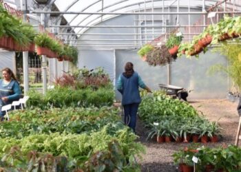 La jornada de formación en el Vivero Improfop será reprogramada por pronóstico de lluvias