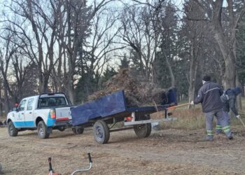Intensifican el mantenimiento en el peridique del Cruz de Piedra