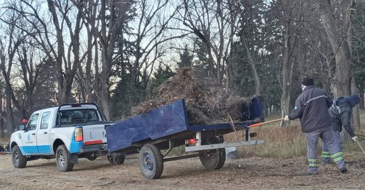 Intensifican el mantenimiento en el peridique del Cruz de Piedra