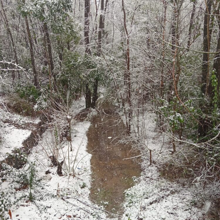 Imágenes que nos comparten de la nieve en su paso por Juana Koslay