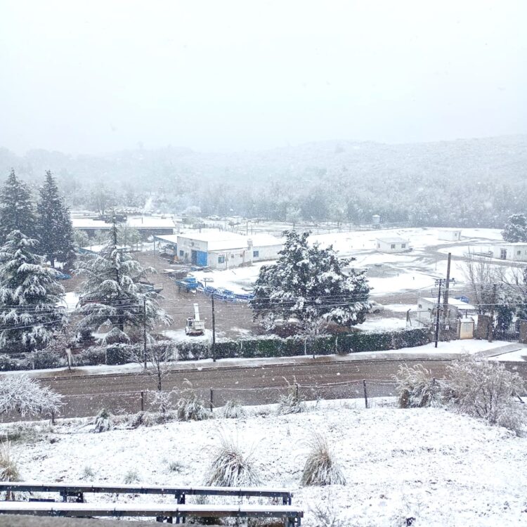 Imágenes que nos comparten de la nieve en su paso por Juana Koslay