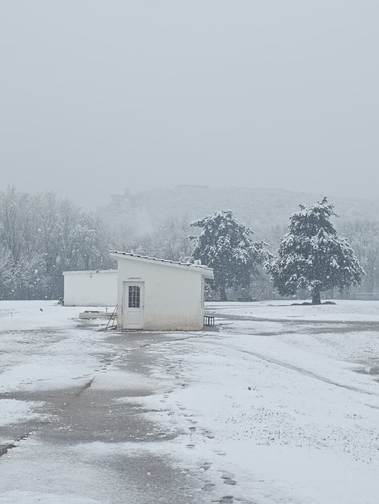Imágenes que nos comparten de la nieve en su paso por Juana Koslay