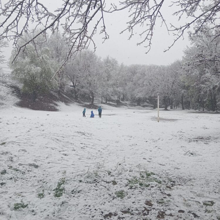 Imágenes que nos comparten de la nieve en su paso por Juana Koslay