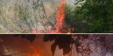 Bomberos sofocaron incendio forestal en Juana Koslay y San Luis