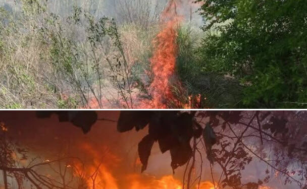 Bomberos sofocaron incendio forestal en Juana Koslay y San Luis