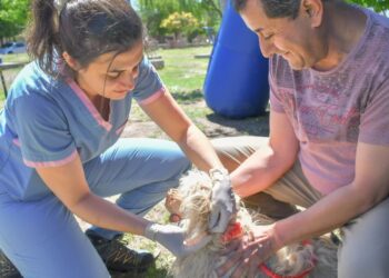 Campaña de vacunación antirrábica