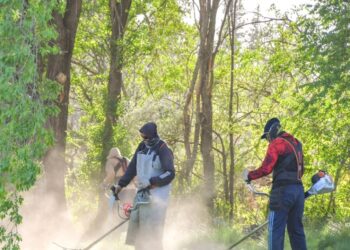 Continúan los operativos de desmalezado y limpieza por distintos barrios