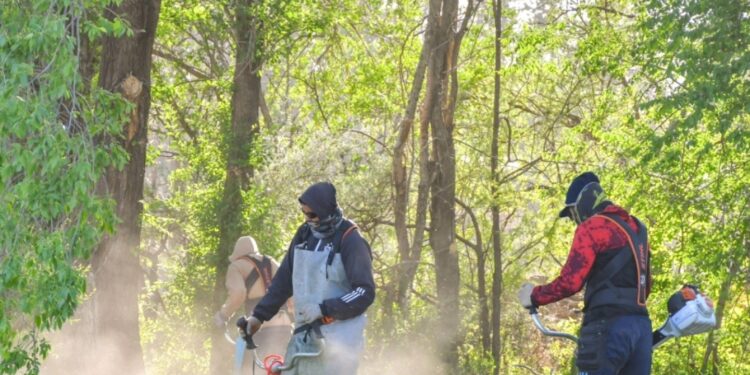 Continúan los operativos de desmalezado y limpieza por distintos barrios