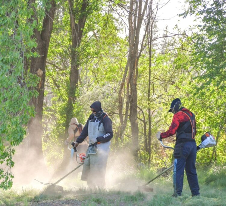 Continúan los operativos de desmalezado y limpieza por distintos barrios