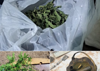 La Policía realizó un allanamiento por una causa de robo calificado y secuestró municiones y marihuana