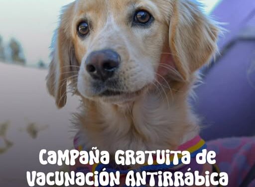 Vacunación antirrábica gratuita