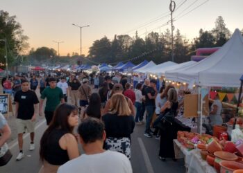 Gran convocatoria para la noche principal del encendido del Árbol de tus sueños