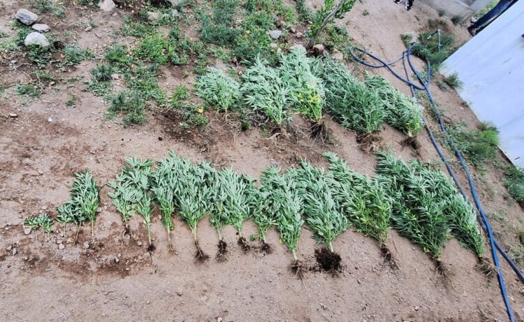 La Policía realizó allanamientos en San Luis, La Punta y Juana Koslay y secuestró armas de fuego, municiones y otros elementos