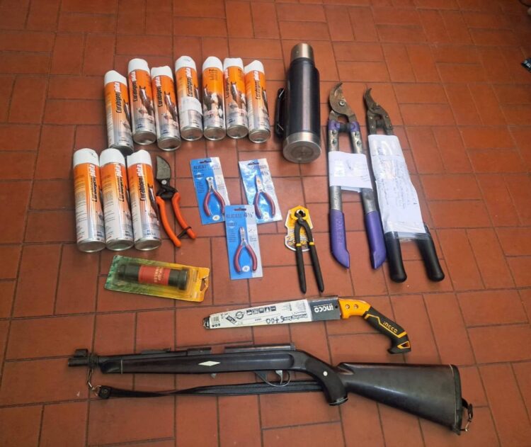 Cinco allanamientos en Juana Koslay por un robo: secuestran armas, herramientas y plantas de cannabis