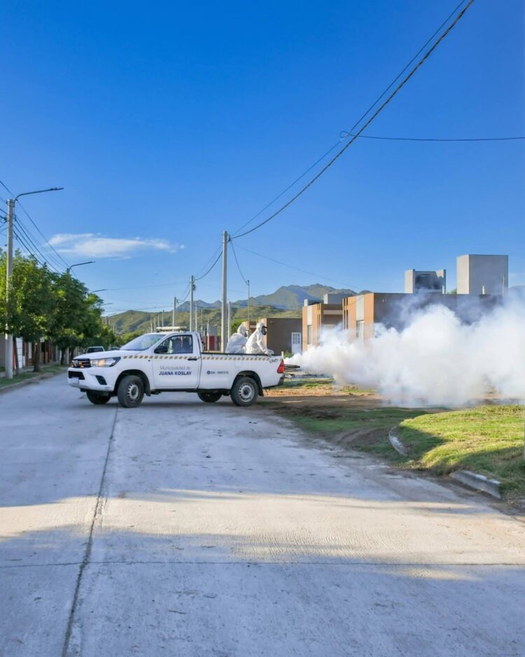 Juana Koslay, realiza el operativo de fumigación