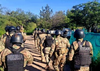 Cinco allanamientos en Juana Koslay por un robo: secuestran armas, herramientas y plantas de cannabis