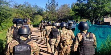 Cinco allanamientos en Juana Koslay por un robo: secuestran armas, herramientas y plantas de cannabis