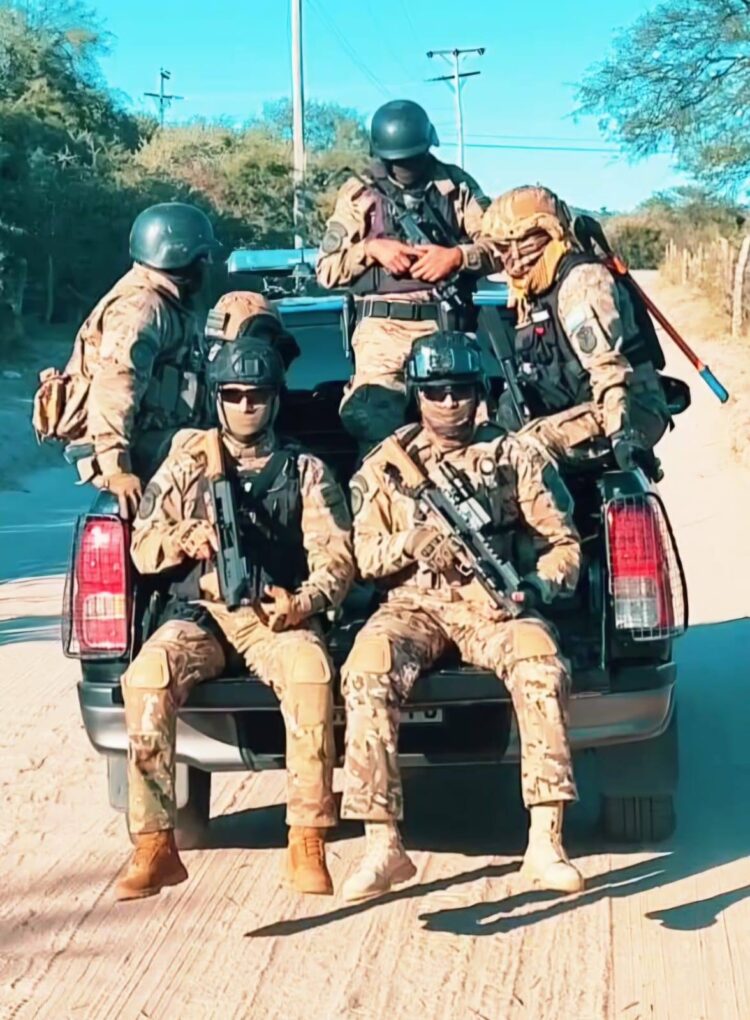 Cinco allanamientos en Juana Koslay por un robo: secuestran armas, herramientas y plantas de cannabis