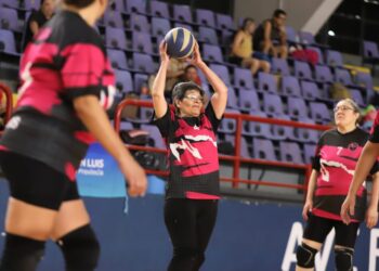 El Ave Fénix será sede del Campeonato Nacional Promocional de Newcom