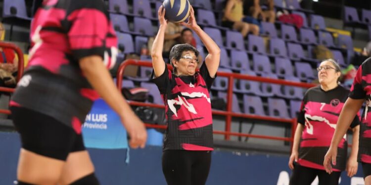 El Ave Fénix será sede del Campeonato Nacional Promocional de Newcom