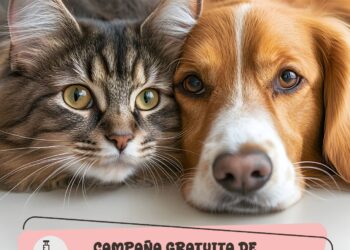 Campaña gratuita de vacunación antirrábica en Plaza Arosena