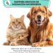 Hoy: Campaña de vacunación de mascotas en el barrio Malvinas Argentinas