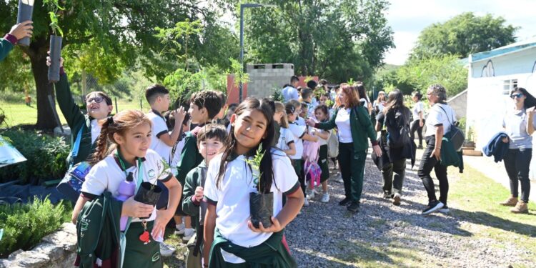 Alumnos del colegio Causay conocieron el ciclo de vida de los árboles nativos