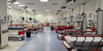 El Sistema Público de Salud recibirá un premio internacional por el tratamiento del ACV isquémico