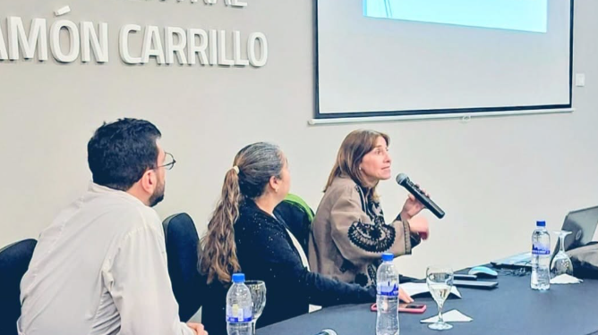 Se realizó la 2° Jornada Multidisciplinaria de Hemofilia en el Hospital Central Ramón Carrillo