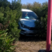 Un auto terminó sobre el cantero central en la avenida Santos Ortiz