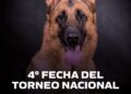 Juana Koslay recibirá una nueva fecha del Torneo Nacional de Perros Ovejeros Alemanes