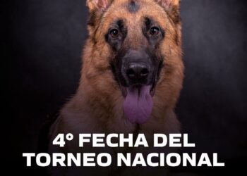Juana Koslay recibirá una nueva fecha del Torneo Nacional de Perros Ovejeros Alemanes