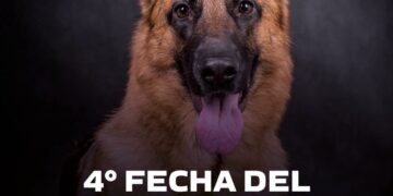 Juana Koslay recibirá una nueva fecha del Torneo Nacional de Perros Ovejeros Alemanes