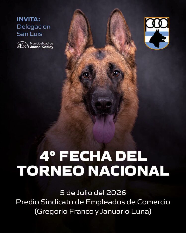 Juana Koslay recibirá una nueva fecha del Torneo Nacional de Perros Ovejeros Alemanes