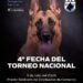 Juana Koslay recibirá una nueva fecha del Torneo Nacional de Perros Ovejeros Alemanes