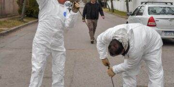 Realizaron tareas de mantenimiento en la red cloacal de Avenida del Viento Chorrillero