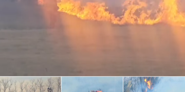 Importante incendio en la zona serrana: investigan si fue iniciado de manera intencional