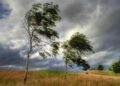 Viento Chorrillero: cuando San Luis sopla memoria, identidad y cultura