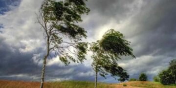 Viento Chorrillero: cuando San Luis sopla memoria, identidad y cultura