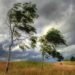 Viento Chorrillero: cuando San Luis sopla memoria, identidad y cultura