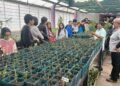 La Granja ‘Cruz de Piedra’ realizó una jornada productiva con tres escuelas de la ciudad de San Luis