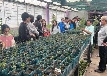 La Granja ‘Cruz de Piedra’ realizó una jornada productiva con tres escuelas de la ciudad de San Luis