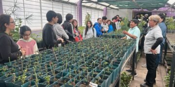 La Granja ‘Cruz de Piedra’ realizó una jornada productiva con tres escuelas de la ciudad de San Luis